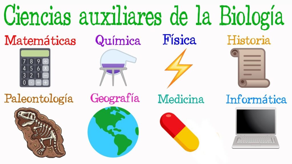 ciencias auxiliares de la biologia conoce su importancia