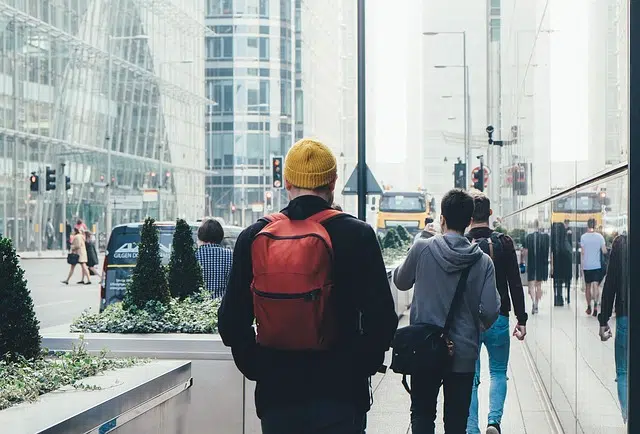 citadinos que es definicion y usos en la vida diaria