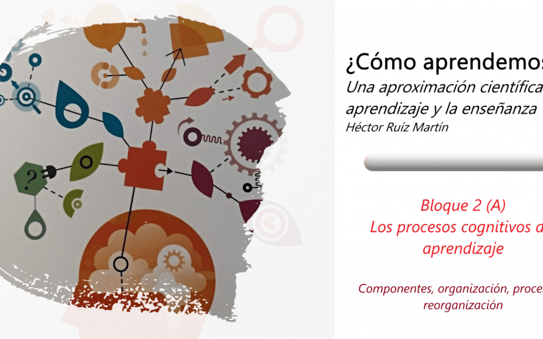 cognitivos aprendizaje proceso y actividades clave 1