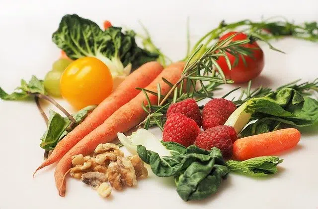 comida que es definicion y concepto de su importancia 4