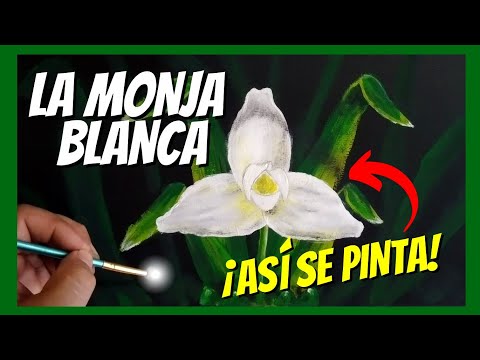como puedo dibujar a la monja blanca guia paso a paso a seguir 3