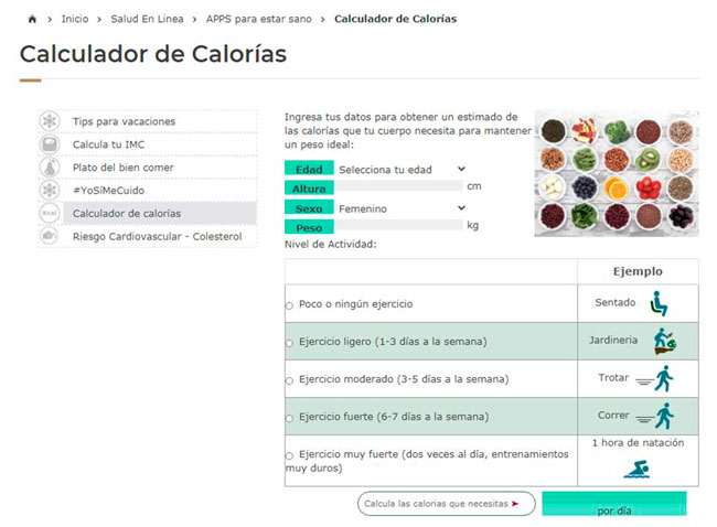 Cómo usar la calculadora de calorías del IMSS correctamente 2 como usar la calculadora de calorias del imss correctamente 3