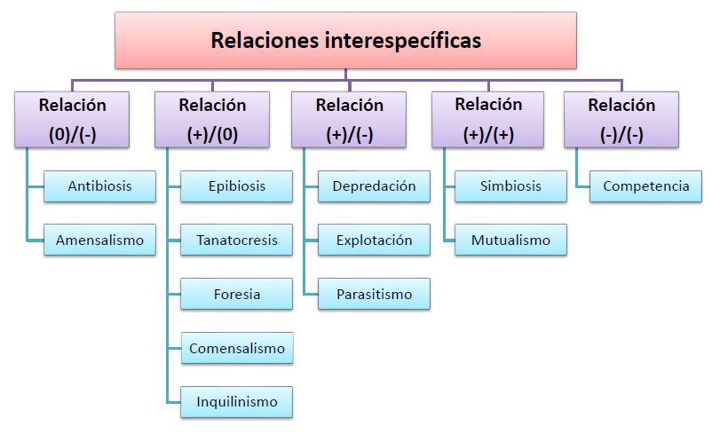Competencia: Qué es, concepto, tipos y ejemplos explicados 20 competencia que es concepto tipos y ejemplos explicados 1
