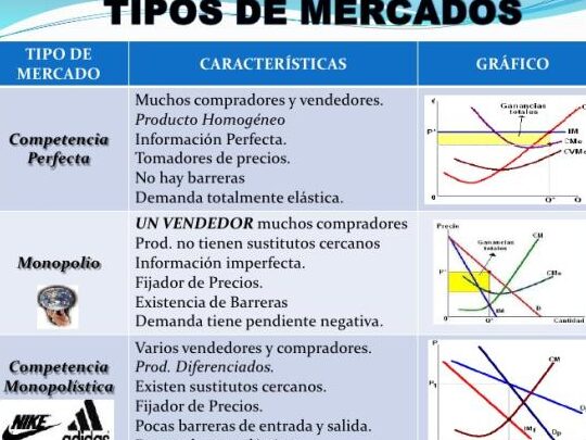 competencias perfectas 10 claves del mercado ideal