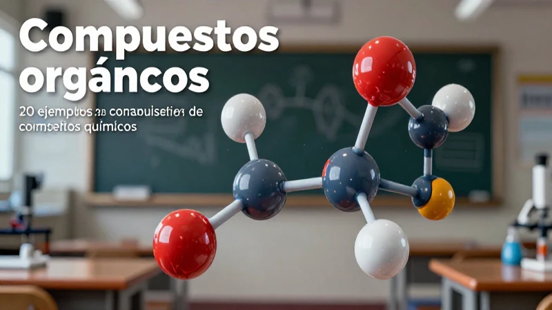 Compuestos en química: 20 ejemplos de compuestos químicos 10 Visualiza compuestos orgánicos en un modelo tridimensional