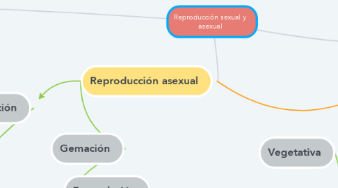 conectores para mapas conceptuales reproduccion
