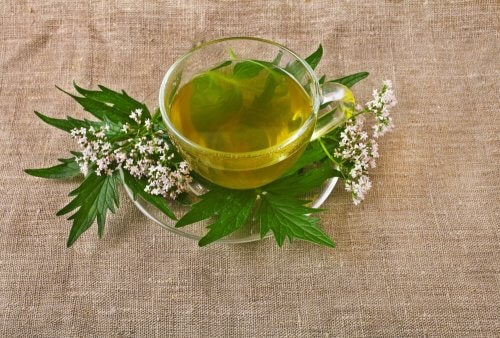 Conoce cómo aliviar las depresiones de forma natural y efectiva 2 conoce como aliviar las depresiones de forma natural y efectiva