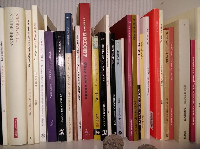 conoce como clasificar libros de manera efectiva y organizada