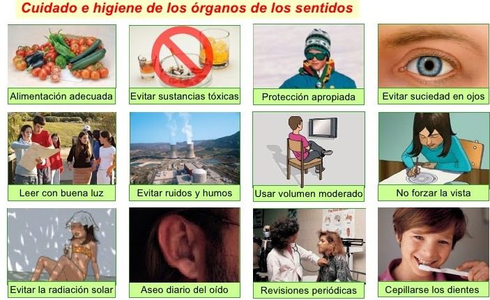 conoce como cuidar y potenciar tus 5 sentidos con estos consejos