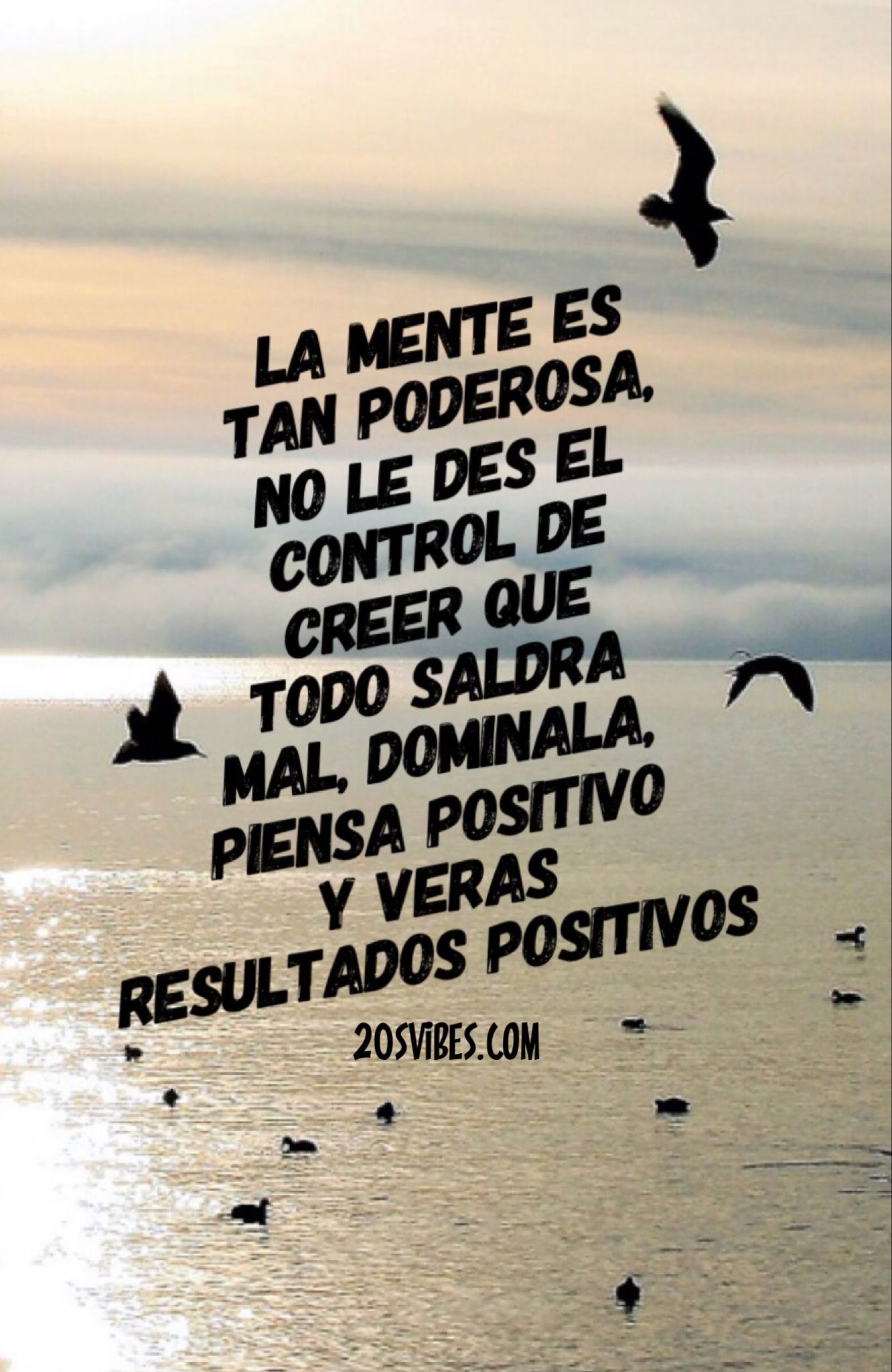 conoce como encontrar y utilizar el numero positivo perfecto