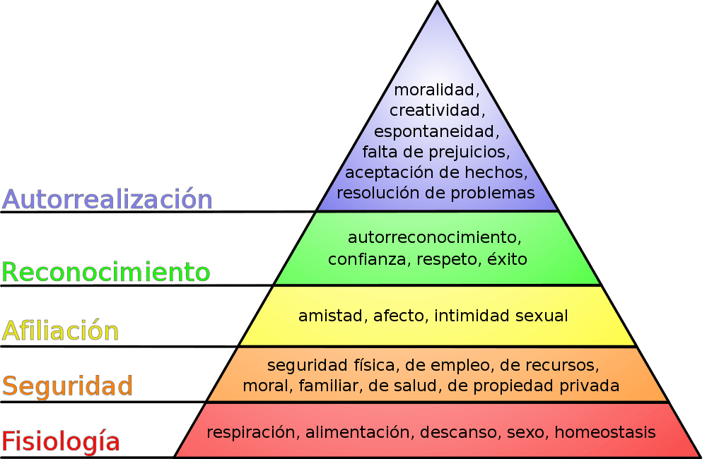 Conoce cómo identificar y eliminar tus necesidades superfluas 2 conoce como identificar y eliminar tus necesidades superfluas