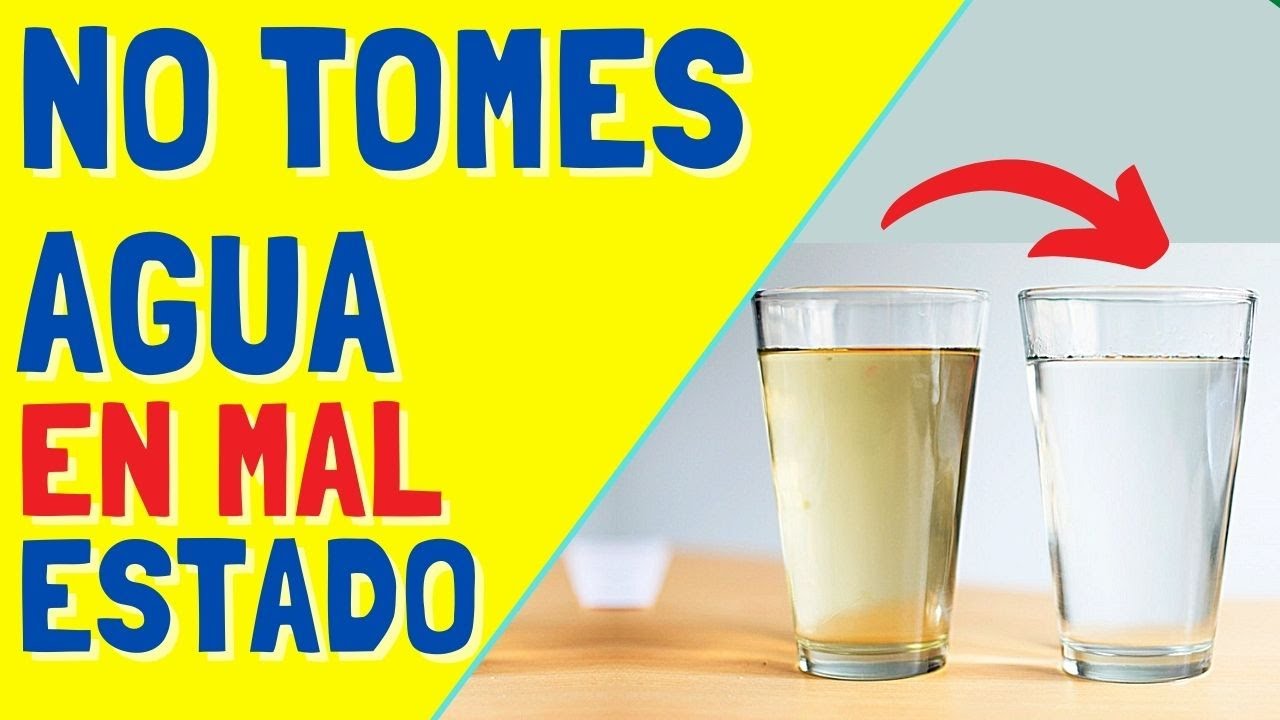 conoce como potabilizar el agua en casa de forma sencilla y segura