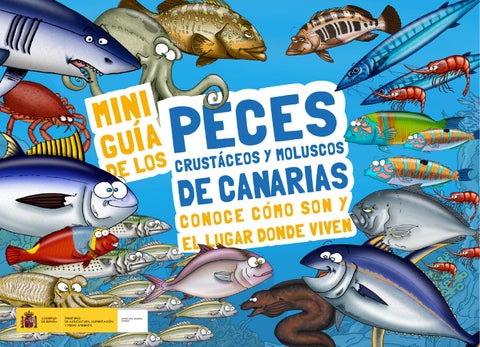 Conoce cómo se desplazan los peces: secretos y curiosidades 2 conoce como se desplazan los peces secretos y curiosidades