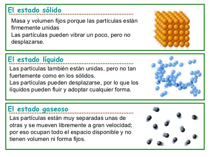 conoce como se dividen los estados y comprende su funcionamiento