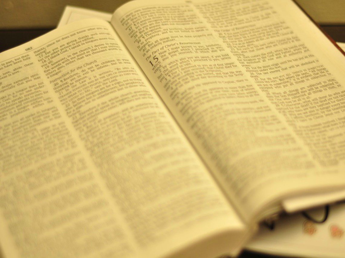 conoce cuantos libros debes leer al ano para enriquecer tu mente