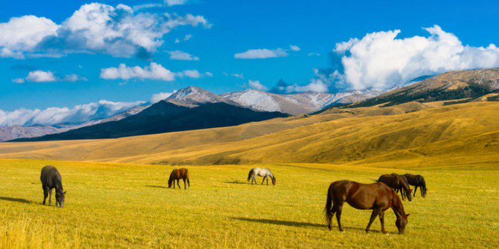 Conoce el clima estepario: características y curiosidades 2 conoce el clima estepario caracteristicas y curiosidades