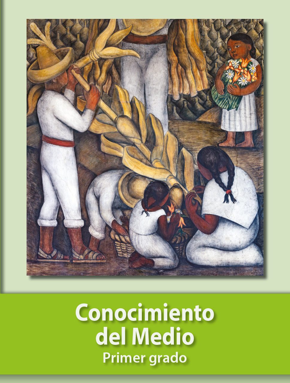 Conoce el increíble mundo del Conocimiento del Medio en Primaria 2 conoce el conocimiento del medio y amplia tu comprension del mundo