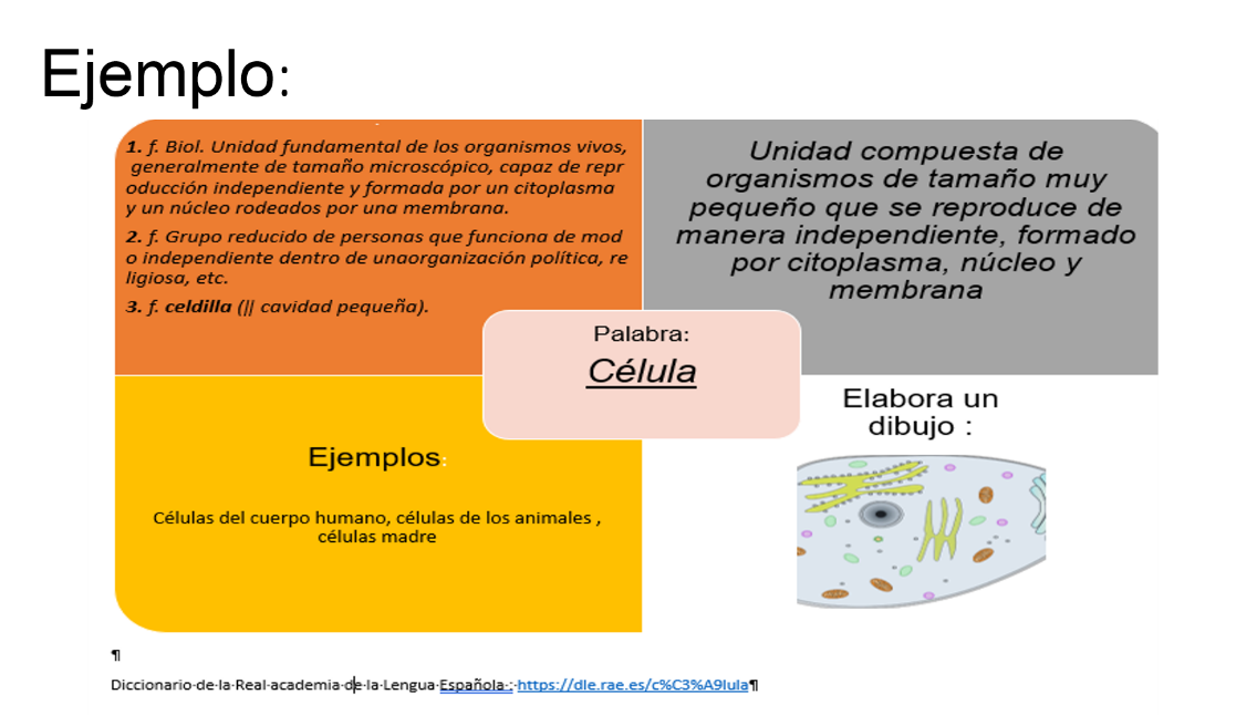 conoce el glosario nueva escuela mexicana conceptos clave