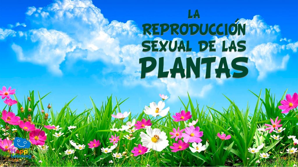 conoce el increible proceso de reproduccion de las flores