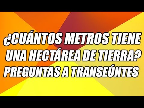 Conoce el tamaño exacto: ¿Cuántos metros tiene una hectárea? 2 conoce el tamano exacto cuantos metros tiene una hectarea