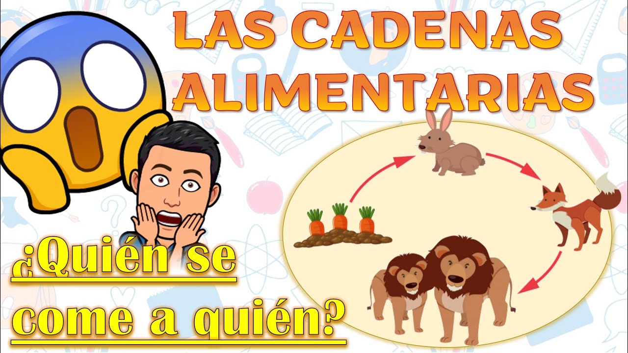Conoce la cadena alimentaria: quién se come a quién en una revelación Conoce 2 conoce la cadena alimentaria quien se come a quien en una revelacion conoce