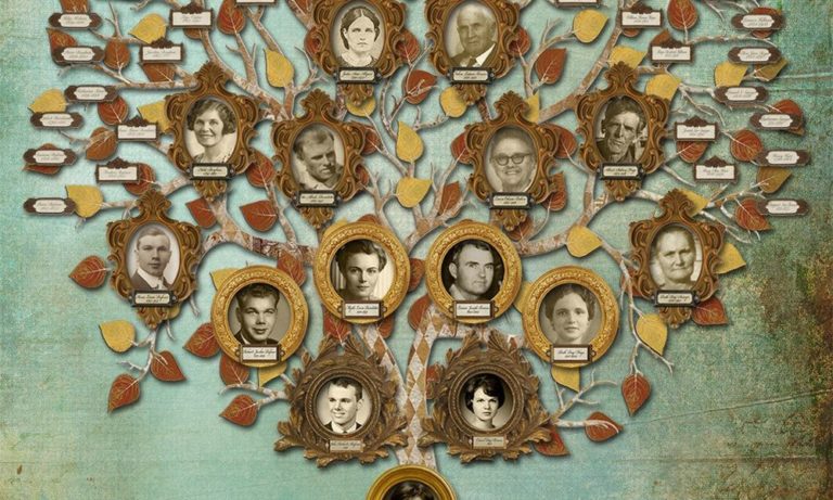 Conoce la Conoce historia familiar que te conecta con tus raíces 2 conoce la conoce historia familiar que te conecta con tus raices
