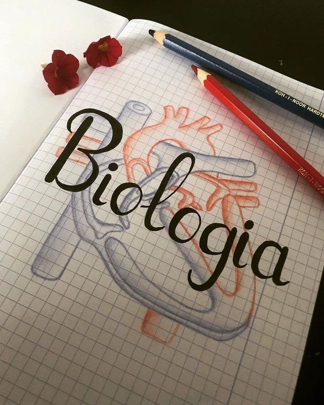 conoce la creatividad al combinar biologia y letras