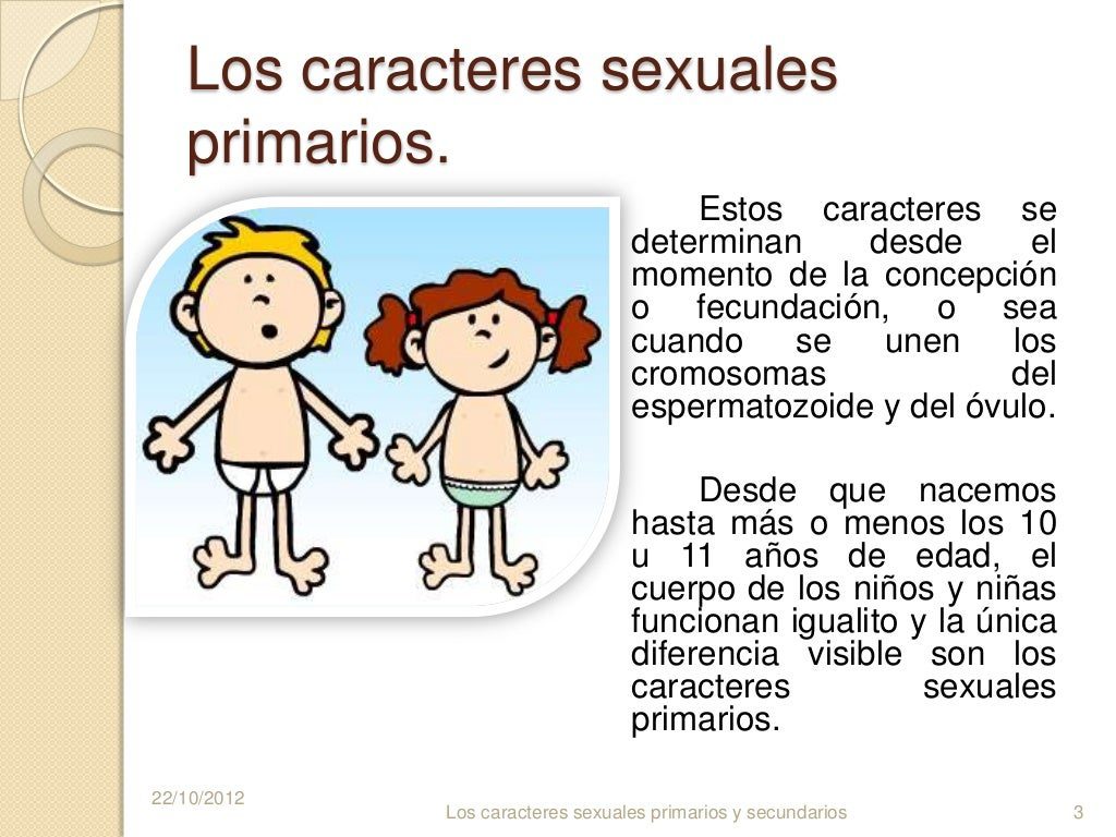 conoce la importancia de los caracteres sexuales en el desarrollo fisico