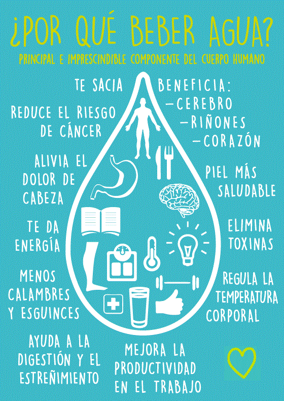 Conoce la importancia del agua para tu salud y bienestar 2 conoce la importancia del agua para tu salud y bienestar