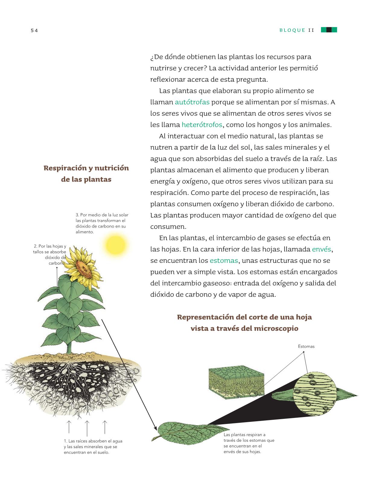 conoce la naturaleza con el libro de sep para 3 grado ciencias naturales