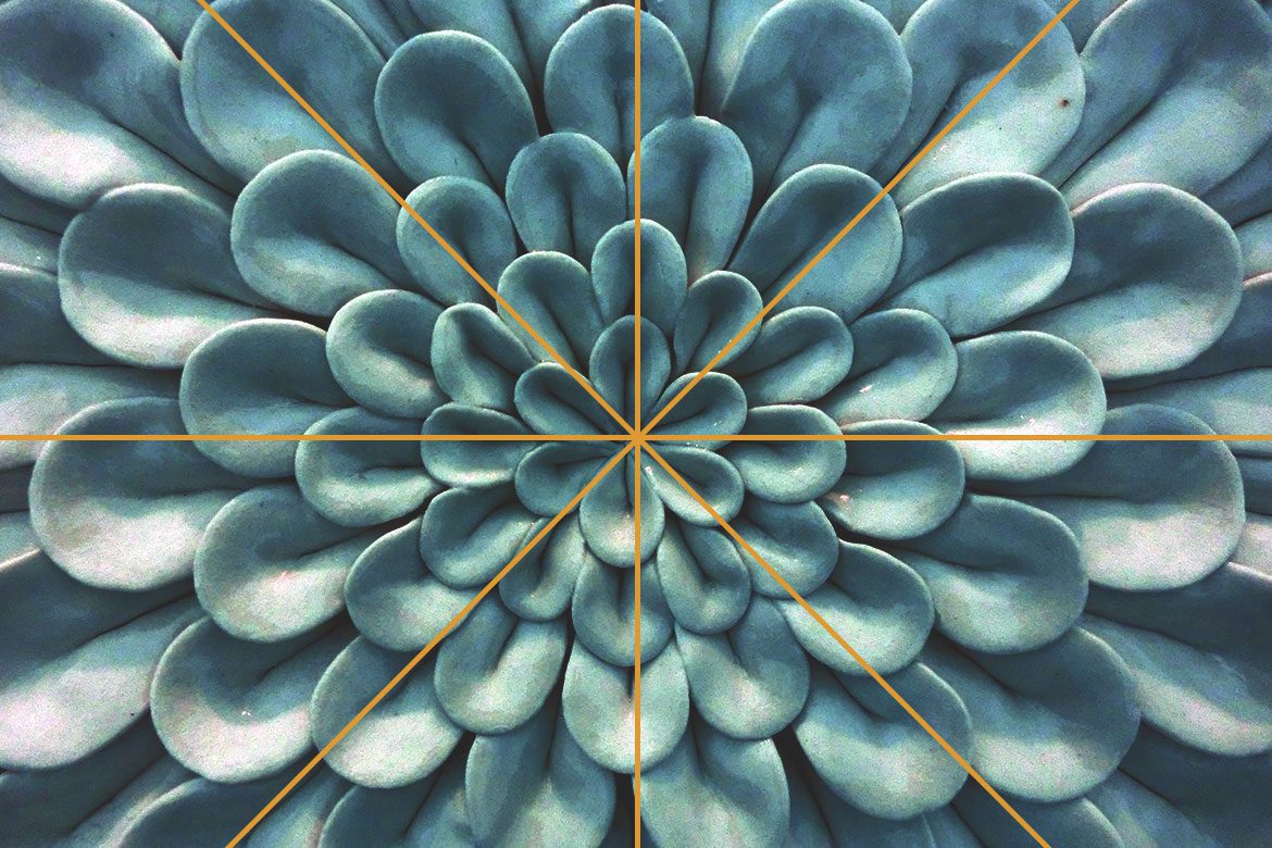conoce la simetria perfecta inspiracion visual y armonia