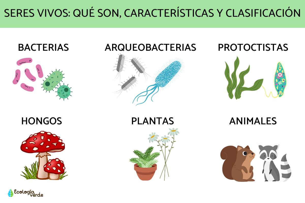 ¡Conoce las características únicas de los seres vivos! 2 conoce las caracteristicas unicas de los seres vivos