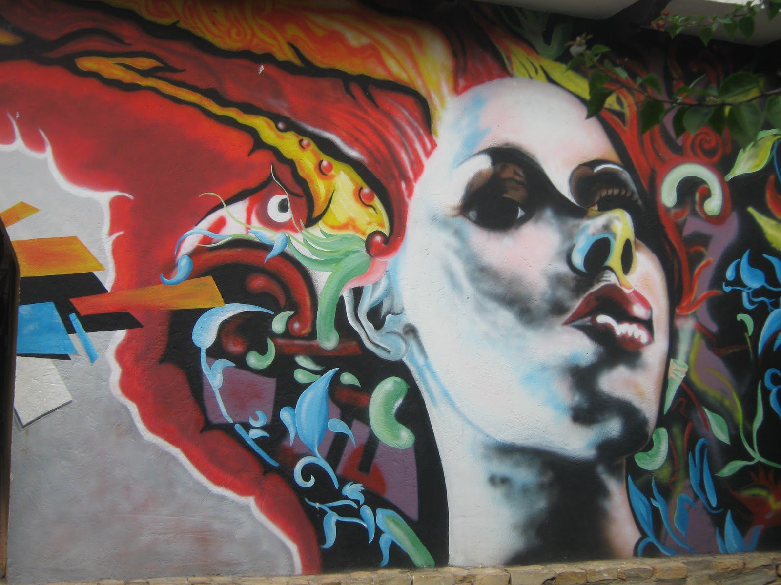 conoce las conoce expresiones artisticas y dejate inspirar