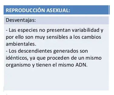 Conoce las desventajas de la reproducción asexual y cómo evitarlas 2 conoce las desventajas de la reproduccion asexual y como evitarlas