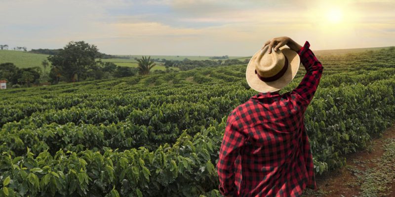 conoce las oportunidades de desarrollo en la poblacion rural
