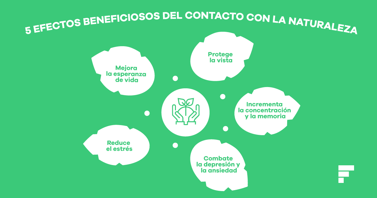 conoce los beneficios del componente natural para tu bienestar