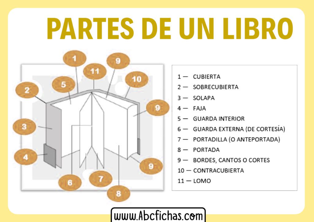 conoce los esenciales en un libro elementos y su importancia