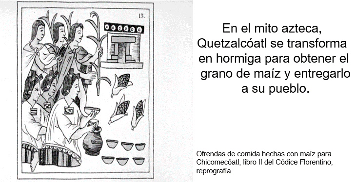 Conoce los libros históricos más Conoce de Conaliteg para ampliar tu sabiduría 2 conoce los libros historicos mas conoce de conaliteg para ampliar tu sabiduria