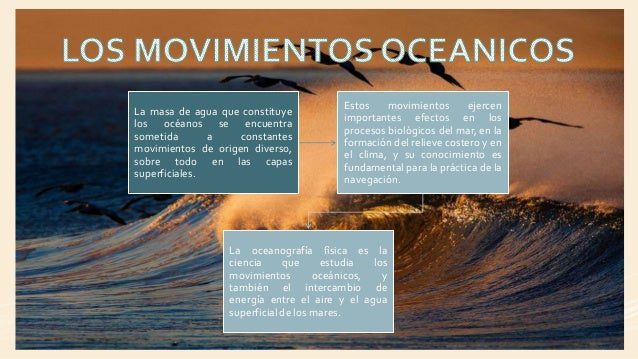 conoce los mejores movimientos del oceano guia completa