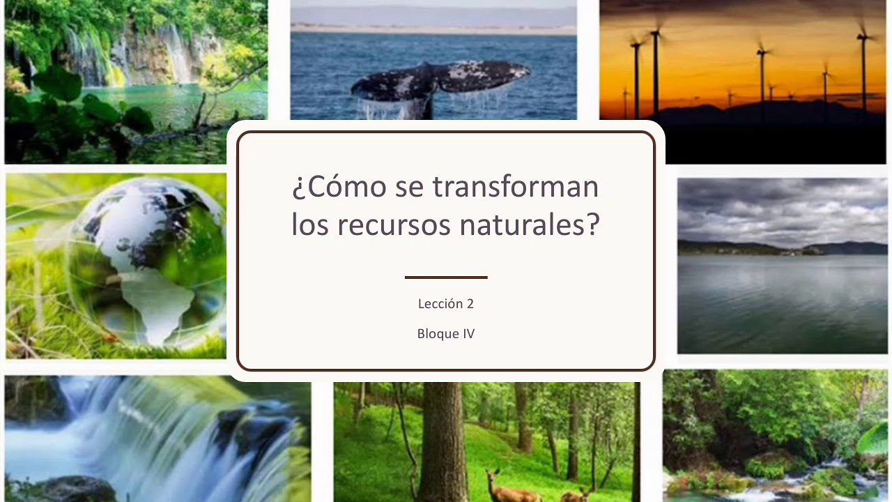 Conoce los mejores procesos naturales que transforman el mundo 2 conoce los mejores procesos naturales que transforman el mundo