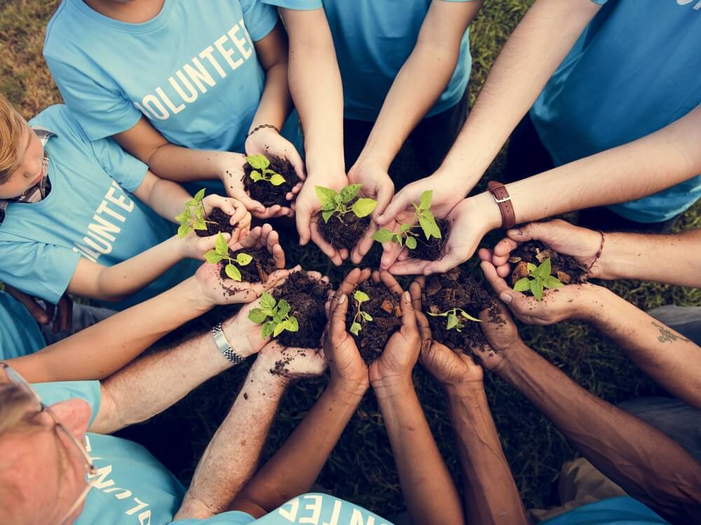 Conoce los movimientos voluntarios: su importancia y beneficios para ti 2 conoce los movimientos voluntarios su importancia y beneficios para ti