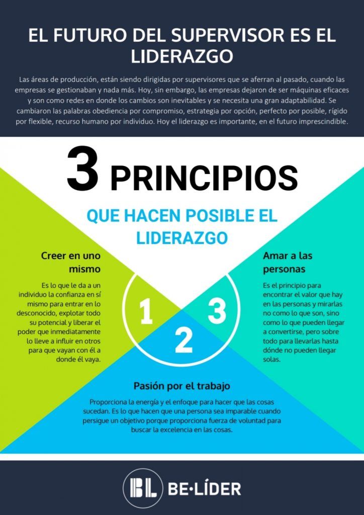 conoce los principios liderazgos y vision de los liberales en politica