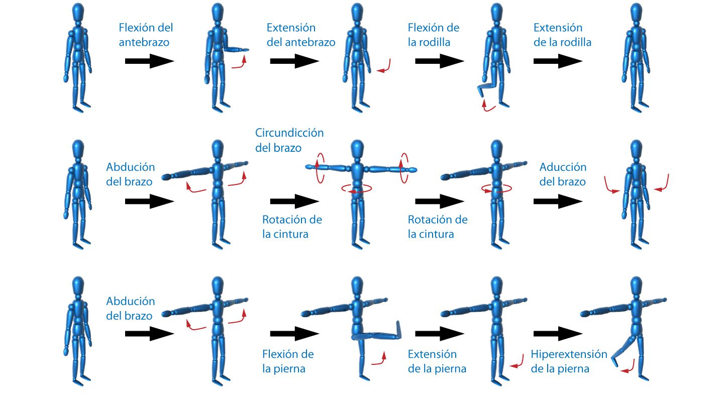 Conoce los secretos de los movimientos: todo lo que necesitas saber 2 conoce los secretos de los movimientos todo lo que necesitas saber