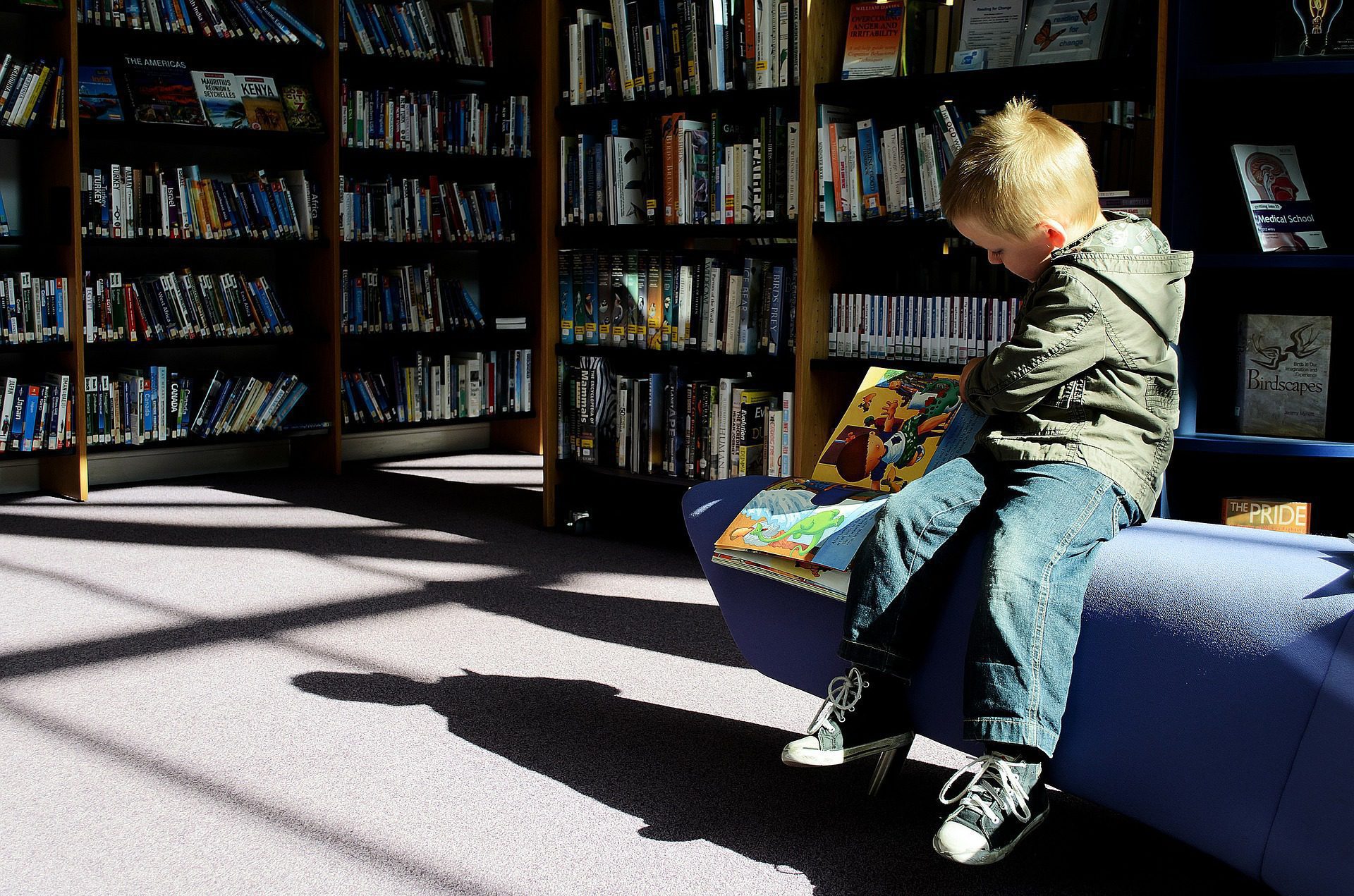 conoce que es un libro escolar y su importancia en la educacion