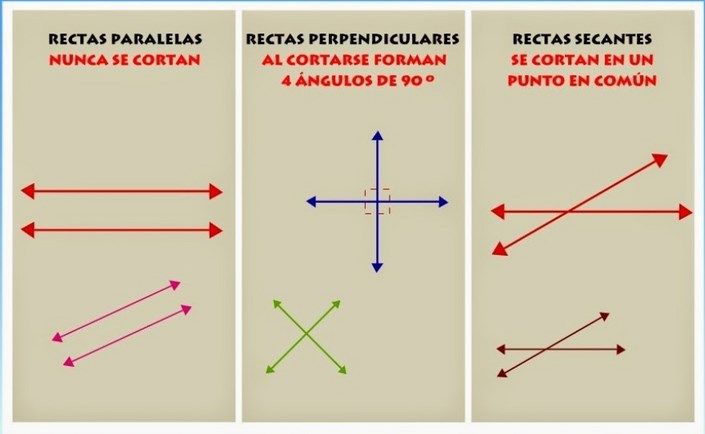 conoce rectas paralelas y perpendiculares guia completa y practica