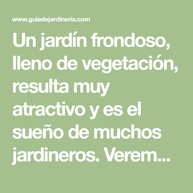 Consejos para cuidar plantas y mantener un jardín exuberante 2 consejos para cuidar plantas y mantener un jardin