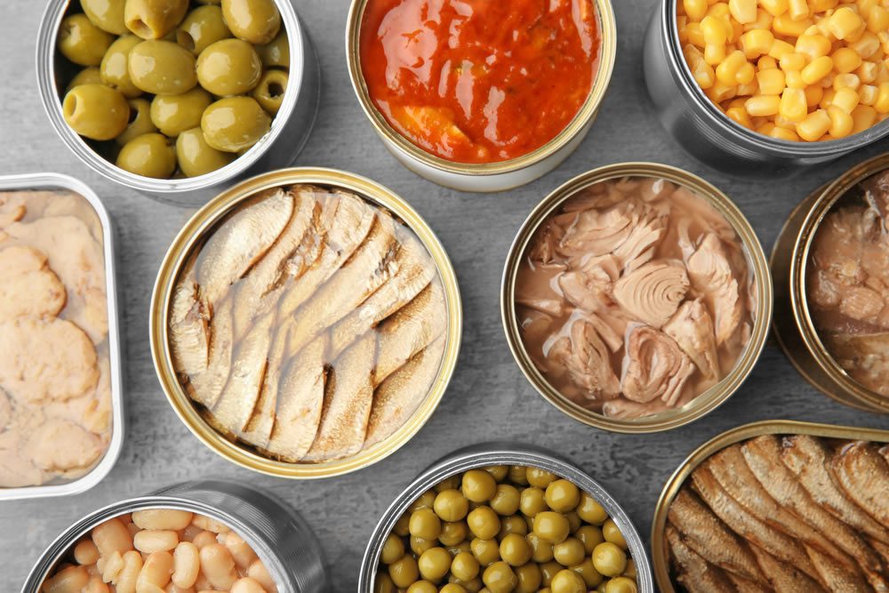 conservadoras para alimentos frescos descubre las conoce opciones