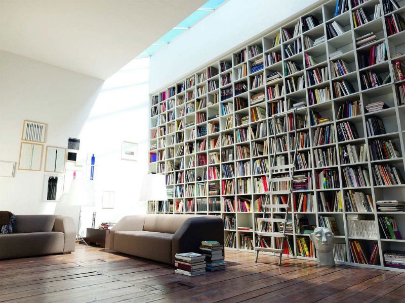 construye tu biblioteca perfecta descubre la cantidad ideal de libros