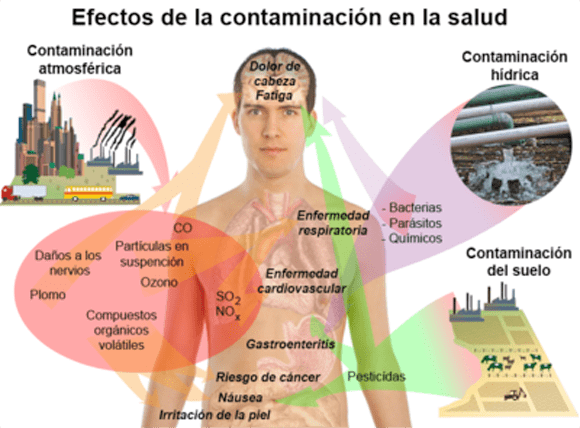 contaminantes impacto en salud y medio ambiente