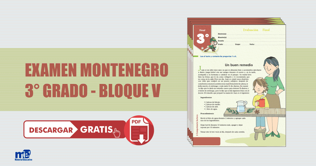 conviertete en un experto en examenes de primaria en montenegro recursos y tips para tu